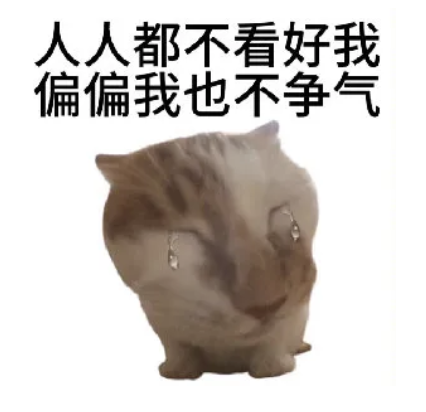 有点意思的网站